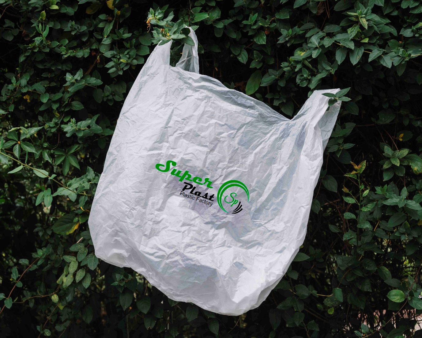 Where to buy Cheap Biodegradable plastic bags in the UAE?