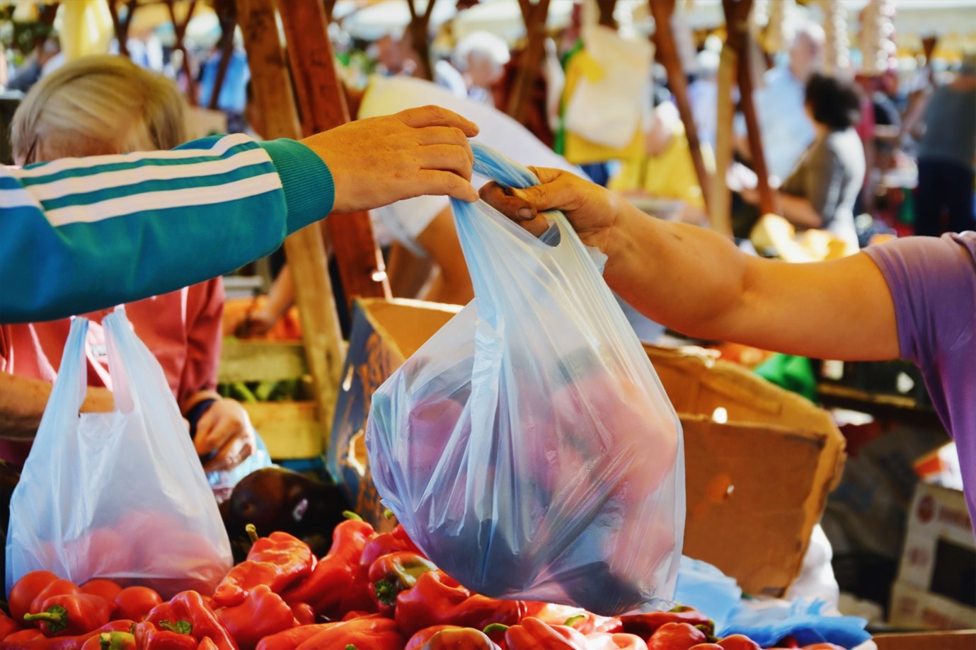 Even With Abu Dhabi’s Plastic Ban, Meet Some Approved Forms of Plastic That Brings no Harm to Environment