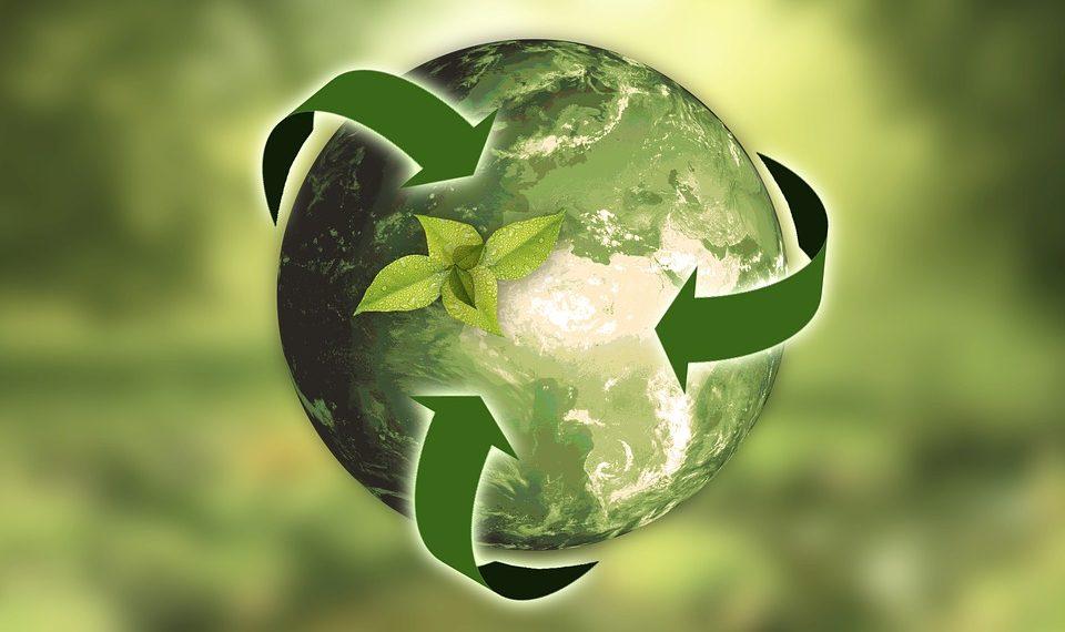 Features and Benefits of Degradable Bags