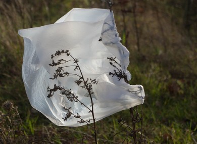 IS USING BIODEGRADABLE PLASTIC BAGS, THE WAY TO A SUSTAINABLE FUTURE?