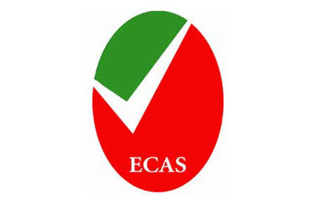 ICV certification and approval logo